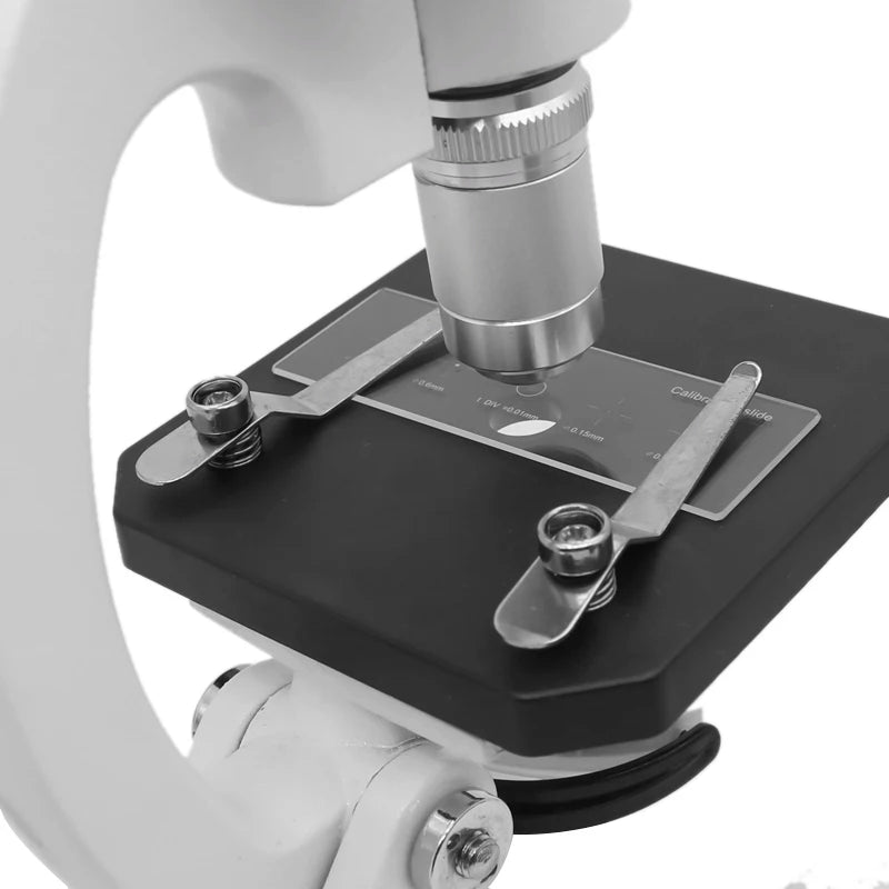 Lame de calibration de microscope avec échelle croisée et quatre points