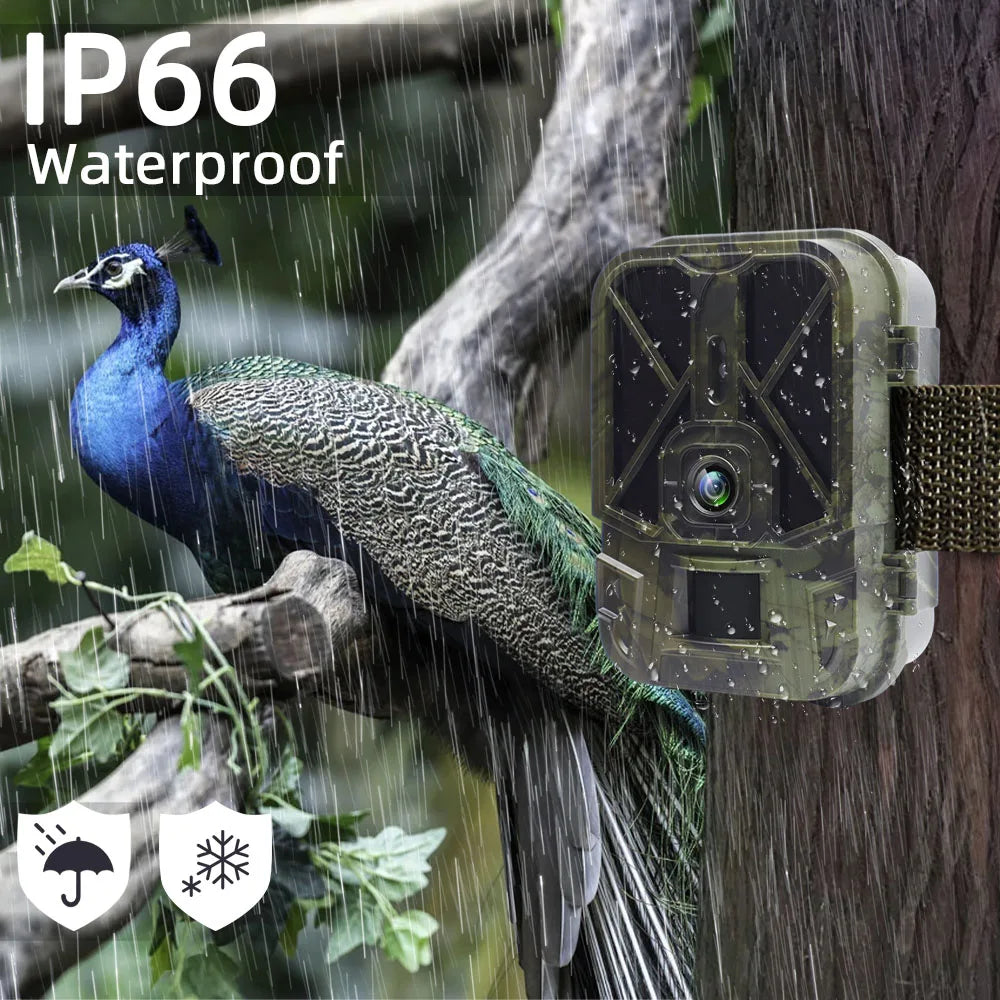 4K  30MP Live Stream WiFi Trail Camera  APP Bluetooth Hunting Cameras With 10000mAh Li-Battery Night Vision WiFi940PROLI 