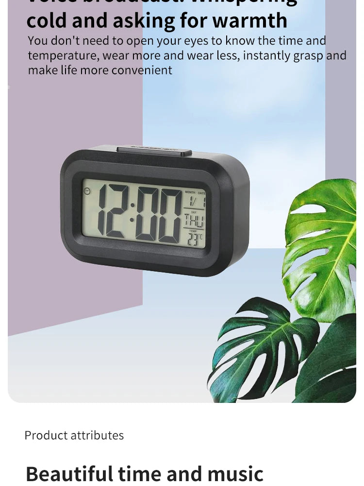 Mini Alarm Clock with Countdown Timer