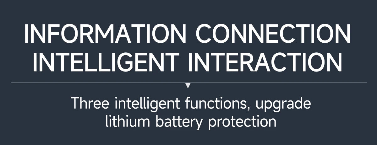 Active Battery Balancer - BT and Non-BT Options