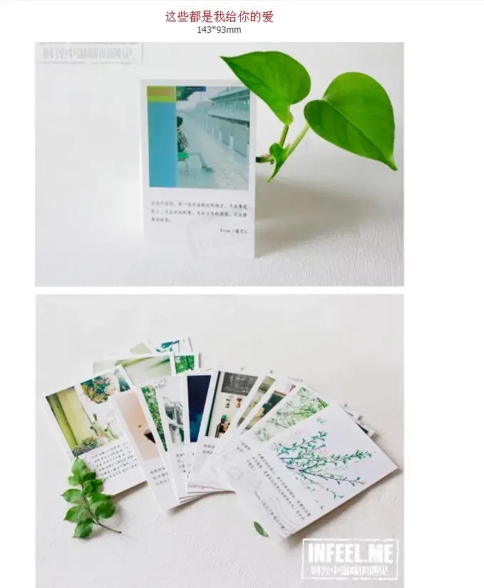 Boxed Illustrated Postcards, 30 Cards, 143 × 93 mm