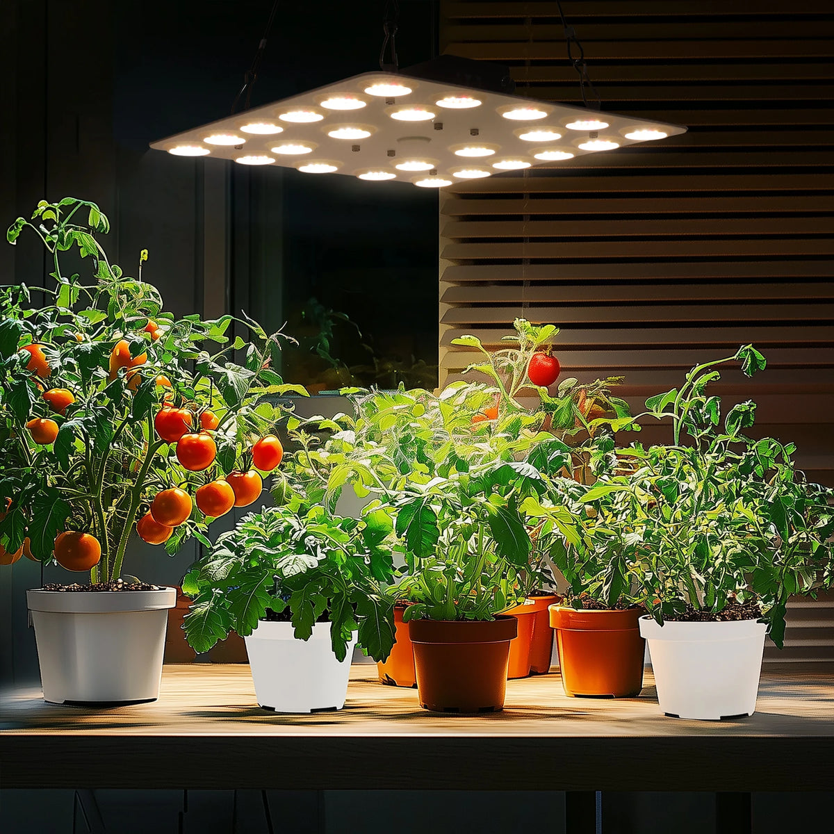 LED Plant-Light Panel, Model and Plug Options