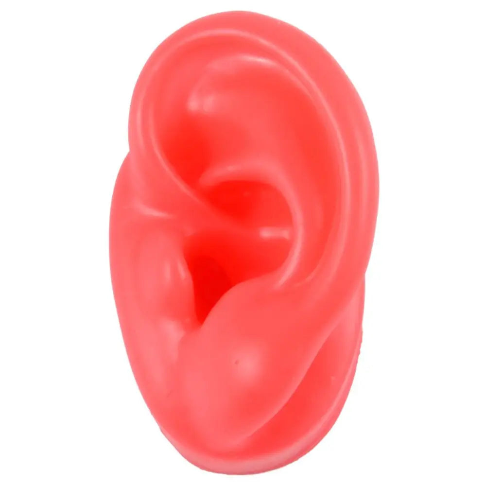 Silicone Ear Model for Teaching and Earring Display