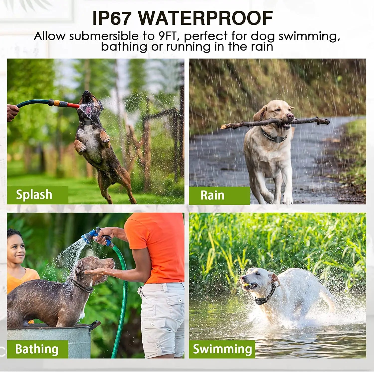 Remote Control Dog Training Collar with Waterproof Receiver