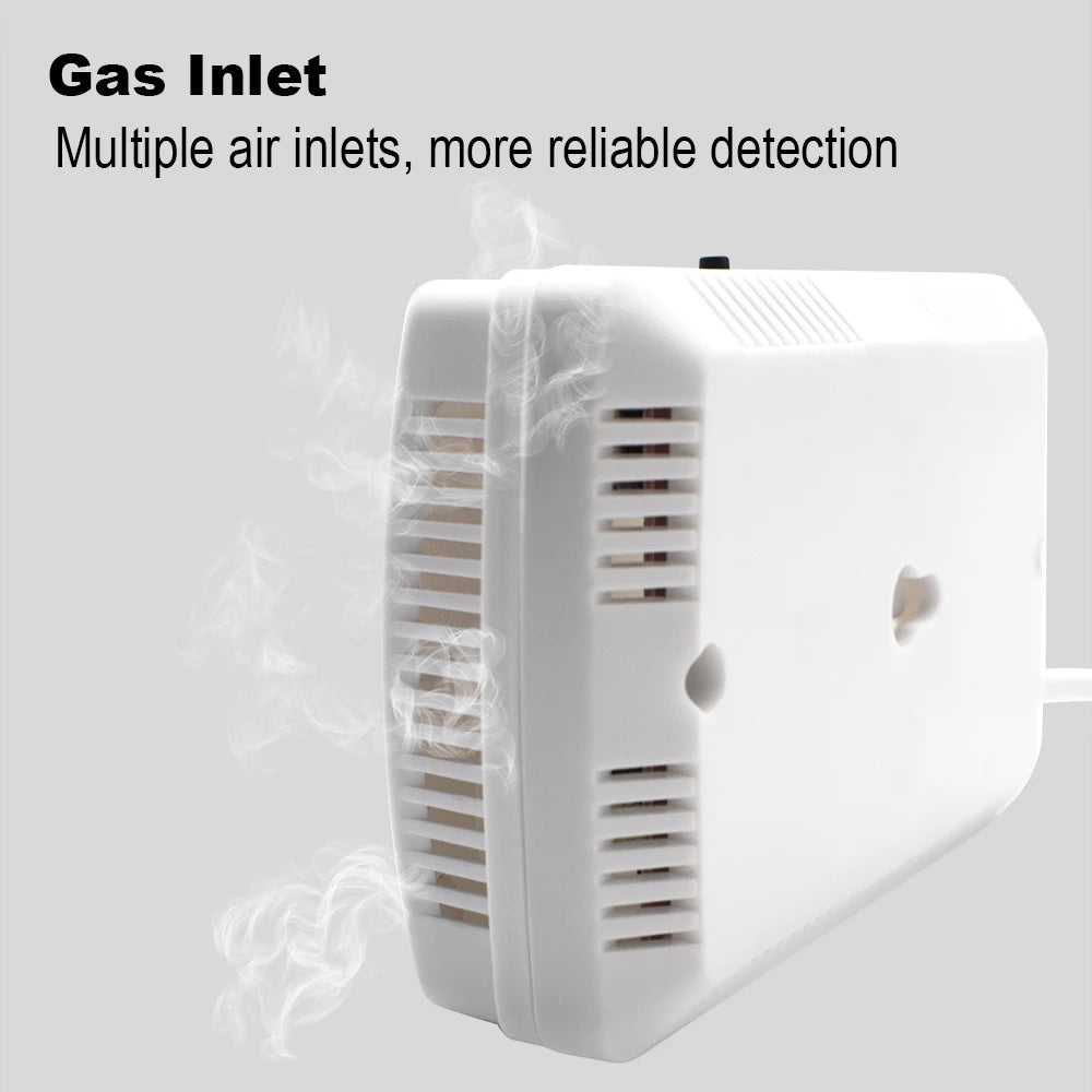 Gas Detector and Carbon Monoxide Alarm for Home Safety