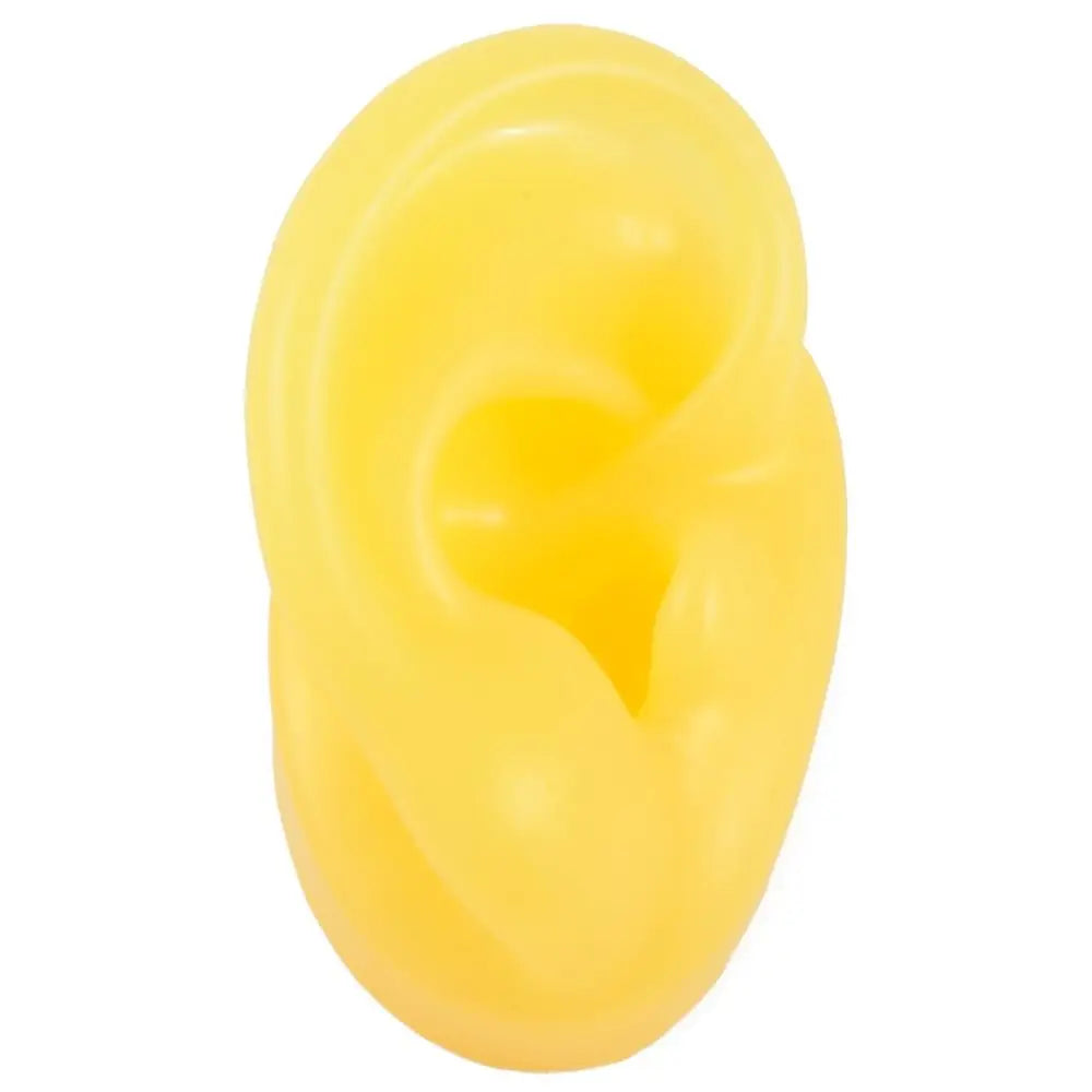 Silicone Ear Model for Teaching and Earring Display