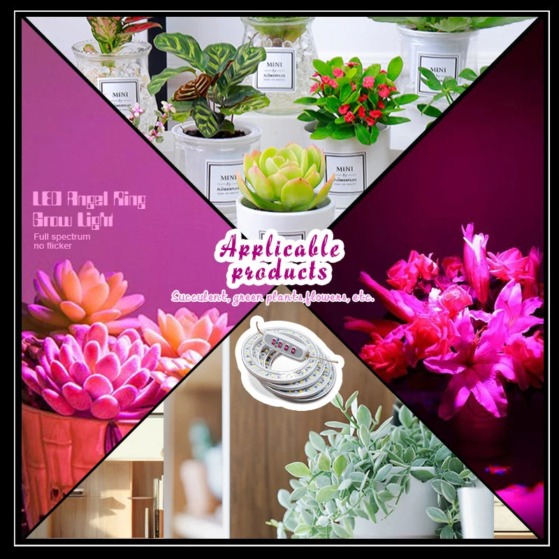 USB Ring Grow Light, Adjustable Height and Head Options