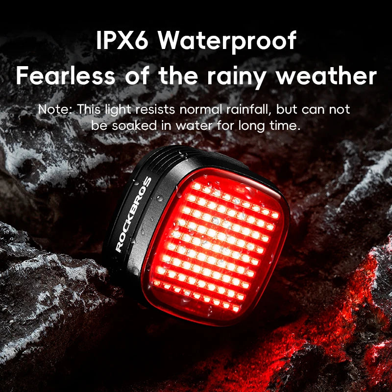 Smart Bike Rear Light with Brake Sensing & Sync Mode