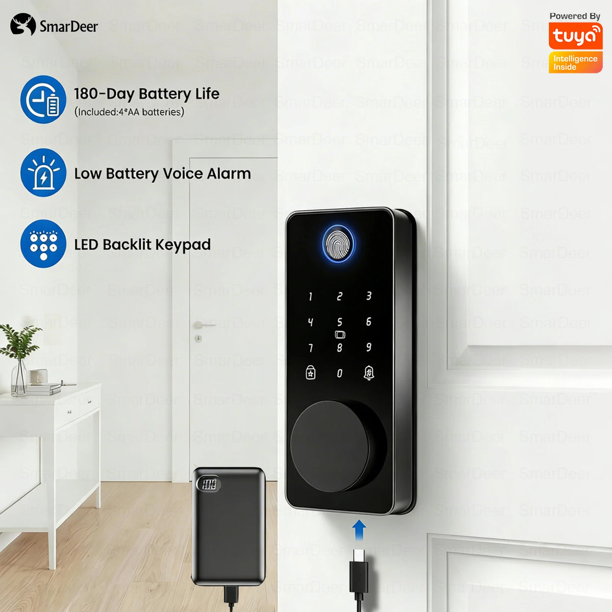 L001-TYWF Fingerprint and Wi-Fi Door Lock