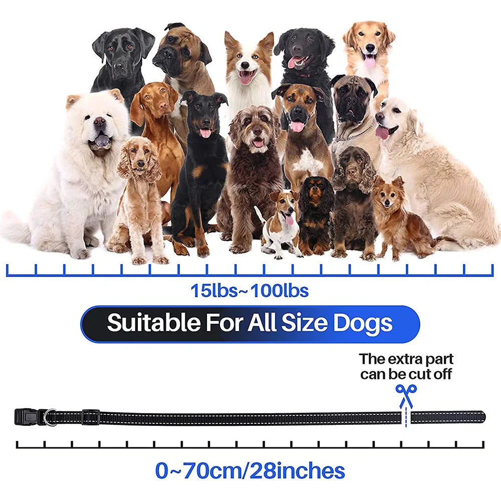 800m Digital Dog Training Collar Waterproof Rechargeable Remote Control Pet with LCD Display for All Size Shock Vibration Sound 