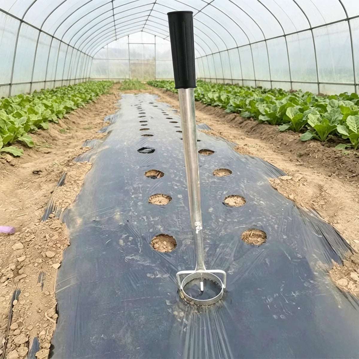 Plastična perforator film, teleskopska bušilica, vrtni i rasadni alati, hortikulturni alati pogodni za poljoprivredno sadnju