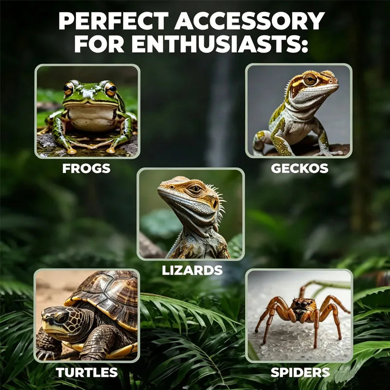Adjustable Reptile Basking Heat Lamp, EU Plug