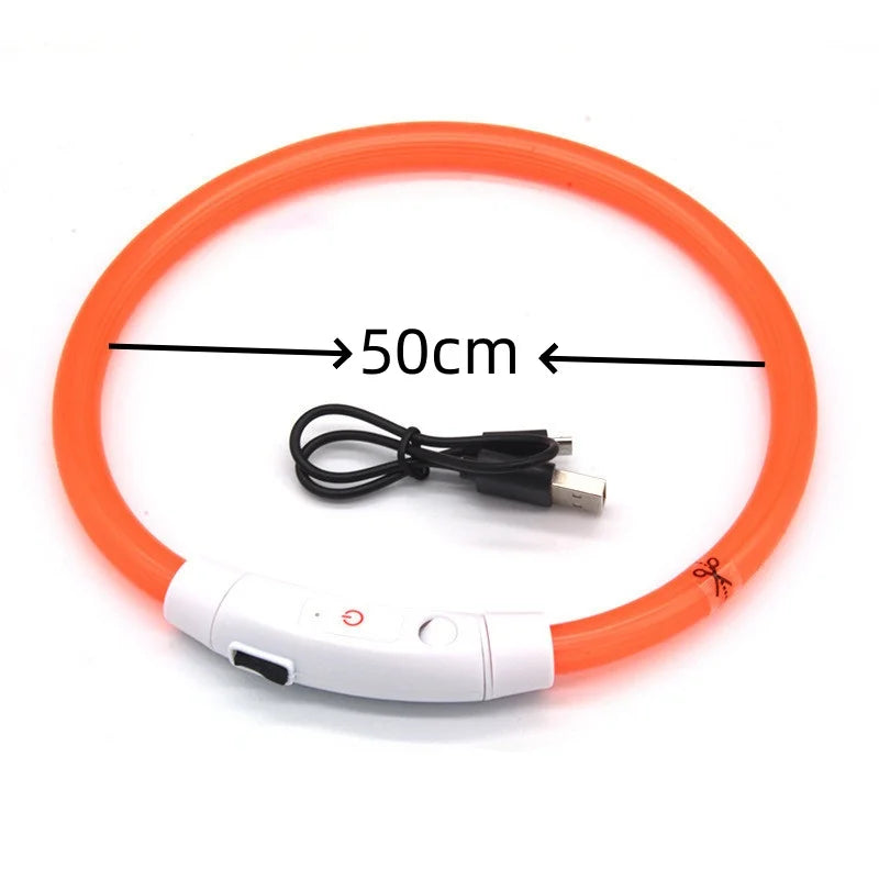 Collar de mascota con LED recargable por USB