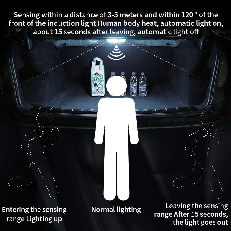 USB Rechargeable Sensor Light with Trigger Options