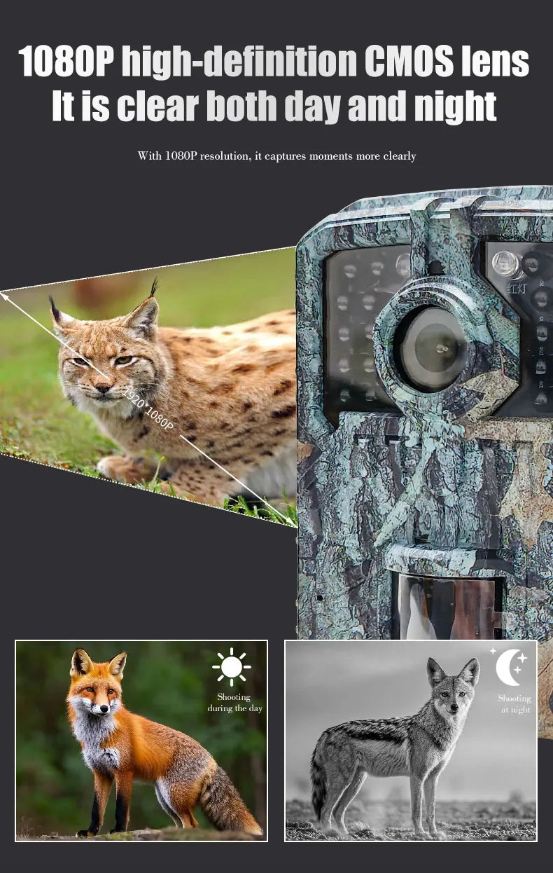 1080P Hunting Camera with Night Vision, 120° Detection, IP65
