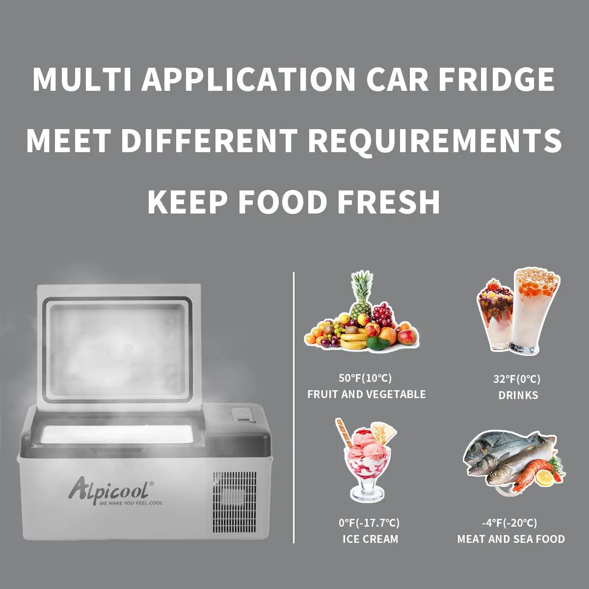 Portable Compressor Fridge Freezer 20L for Car and Home