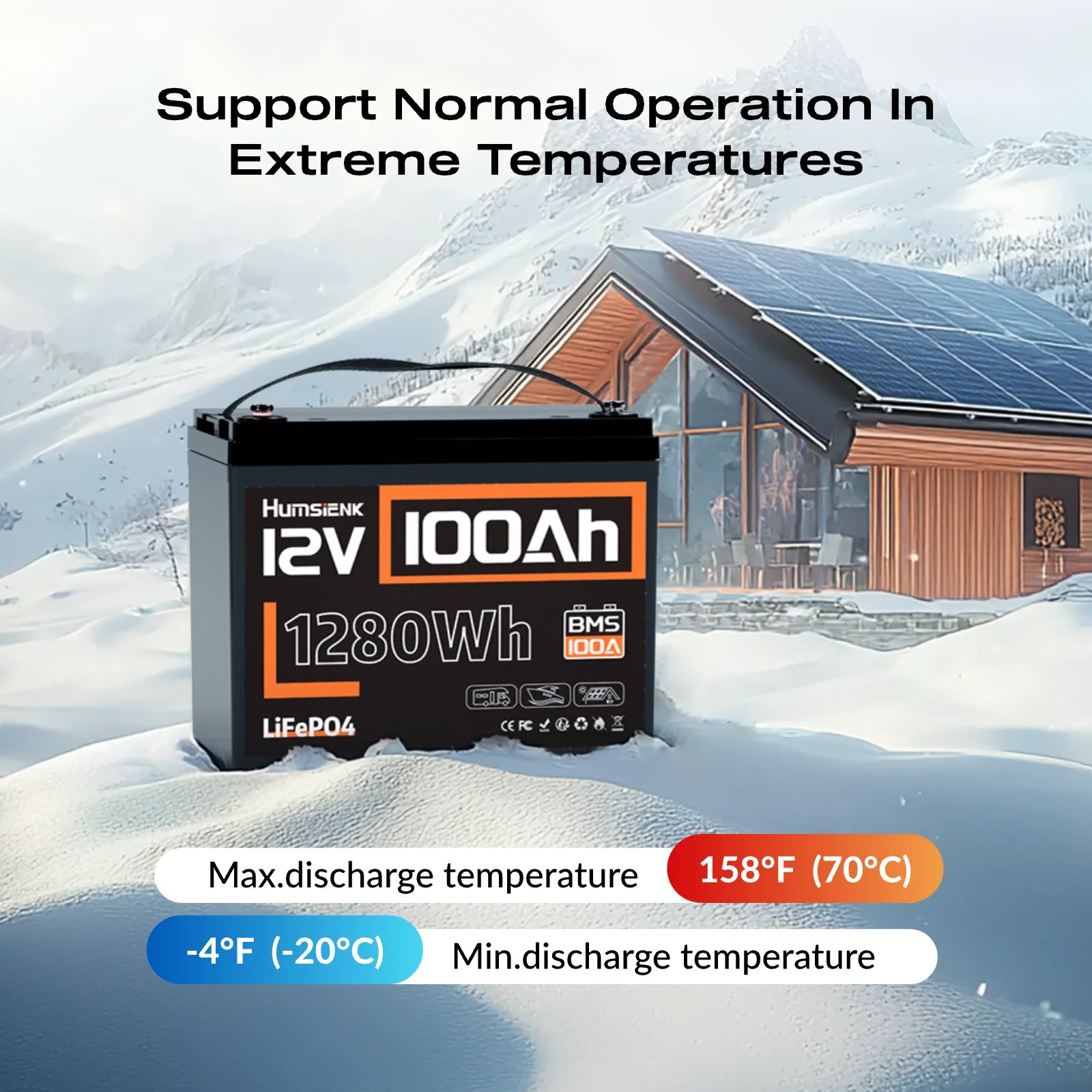 12V 100Ah LiFePO4 Battery with 100A BMS and Low-Temp Protection