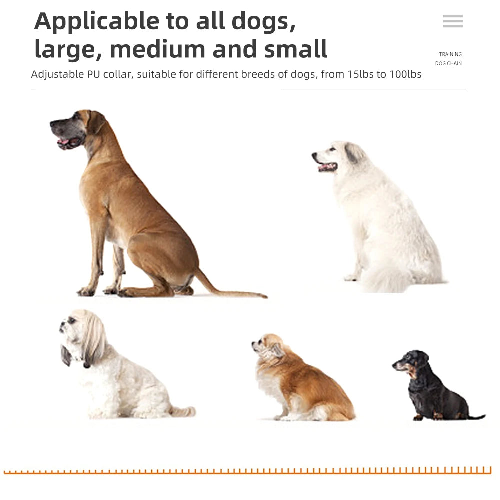 Jagt Hundebipper Halsbånd med Lydlokalisering og Vandtæt Design