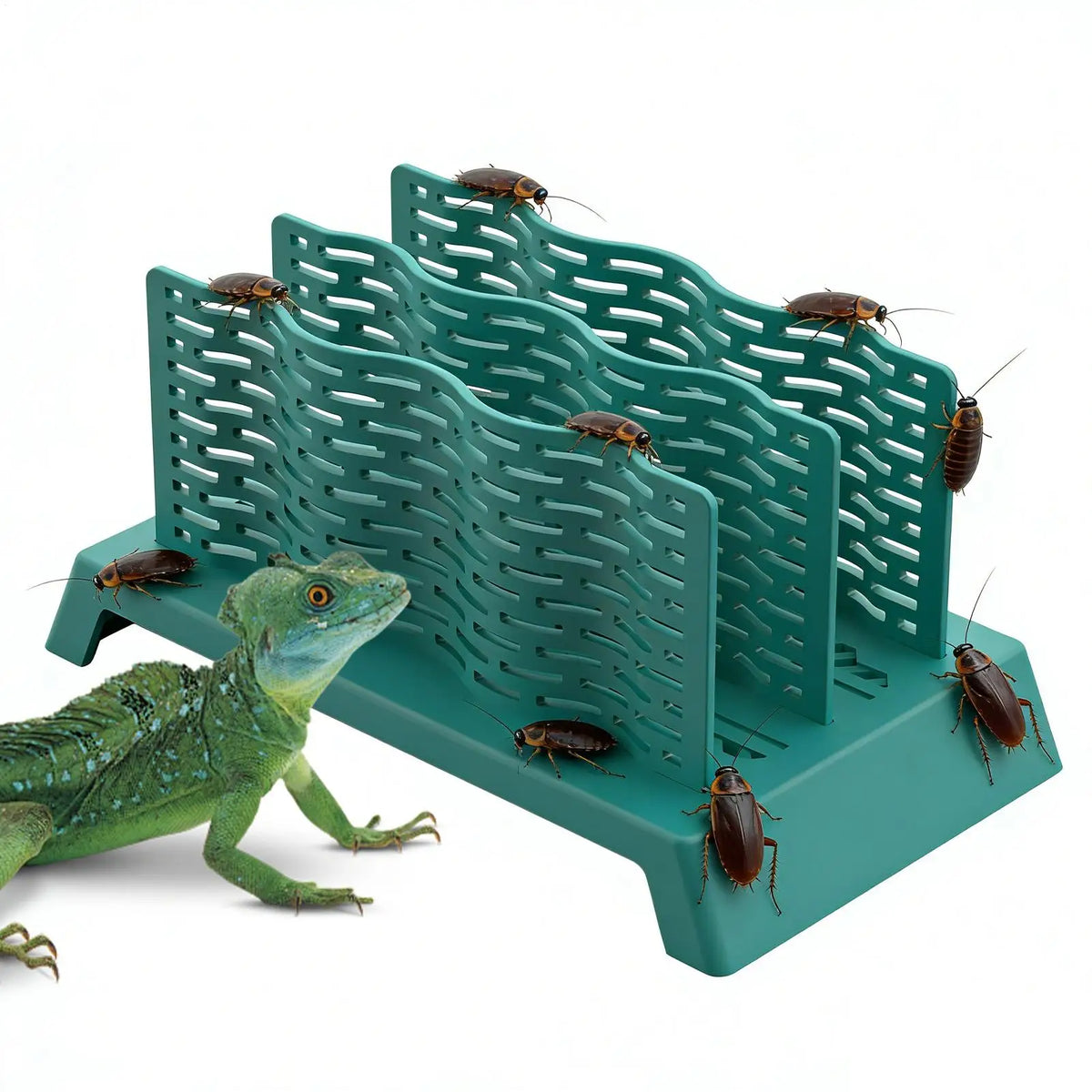 Wall-Mounted Reptile Live-Food Feeder