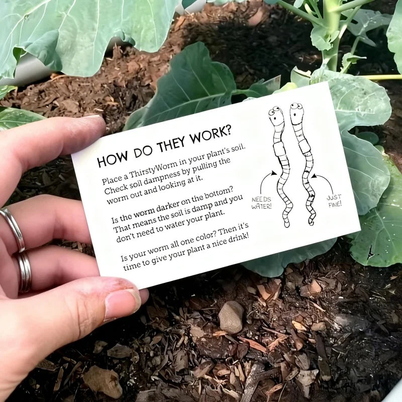 Worm-Shaped Plant Pot Decoration, 1 or 2 Pieces