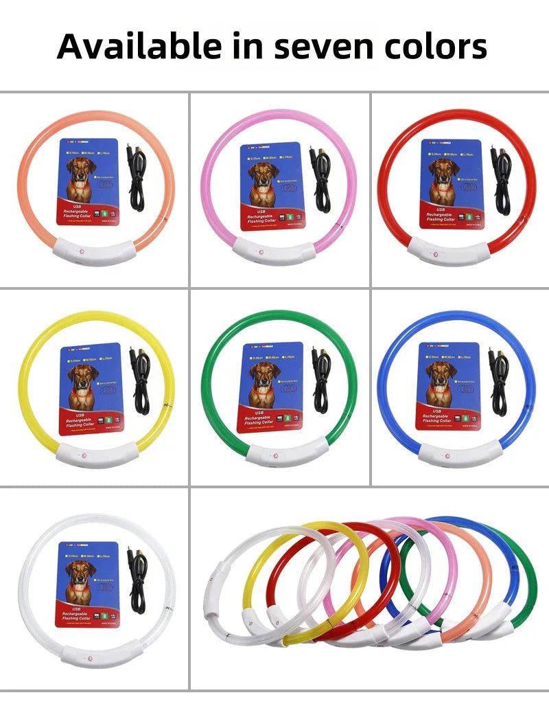 Collar de mascota con LED recargable por USB