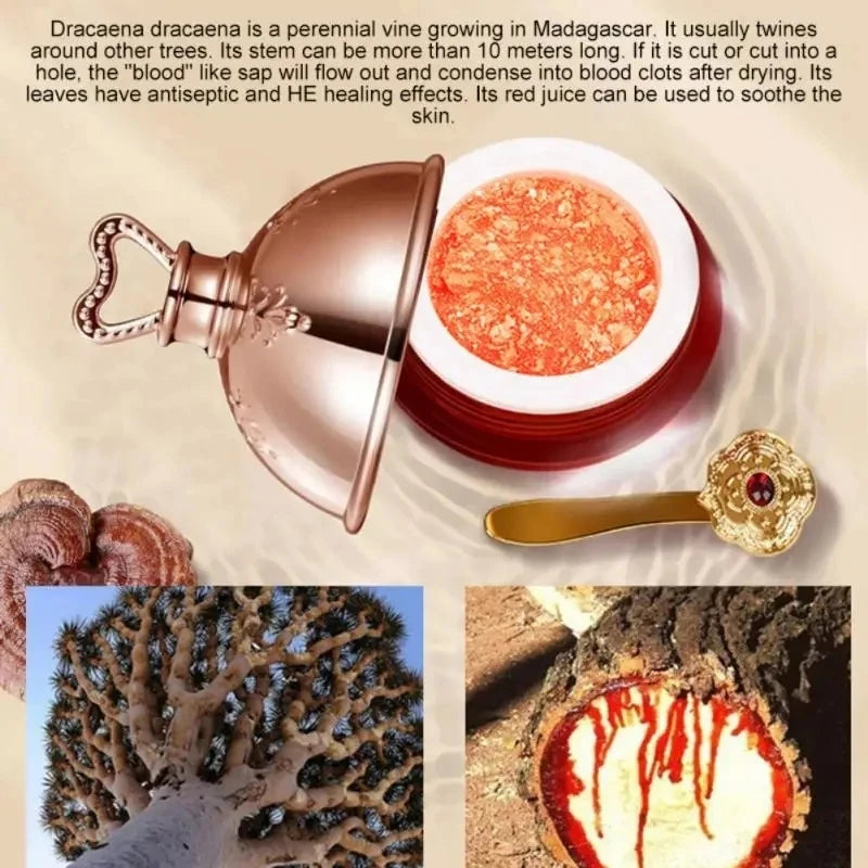 Dragon's Blood Face Cream Retinol Placenta Essence Brightening Lift Firming Skin Care Korean Cosmetics 