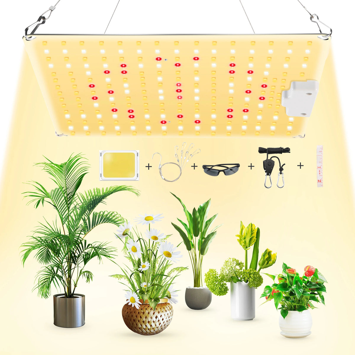 LED Plant-Light Panel, Model and Plug Options