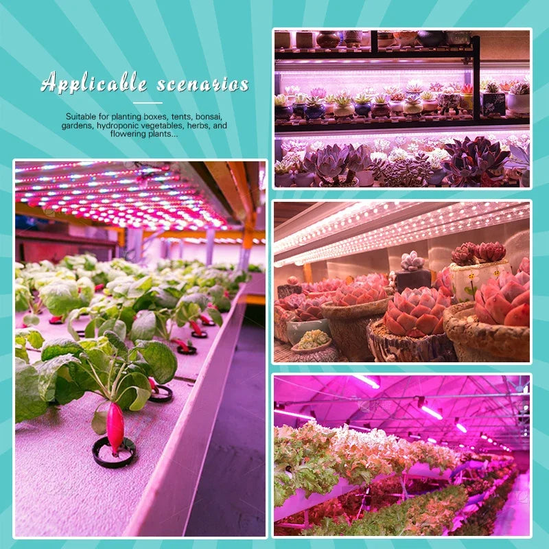 30 cm USB LED Plant Light Bars, 1–4 Bar Options