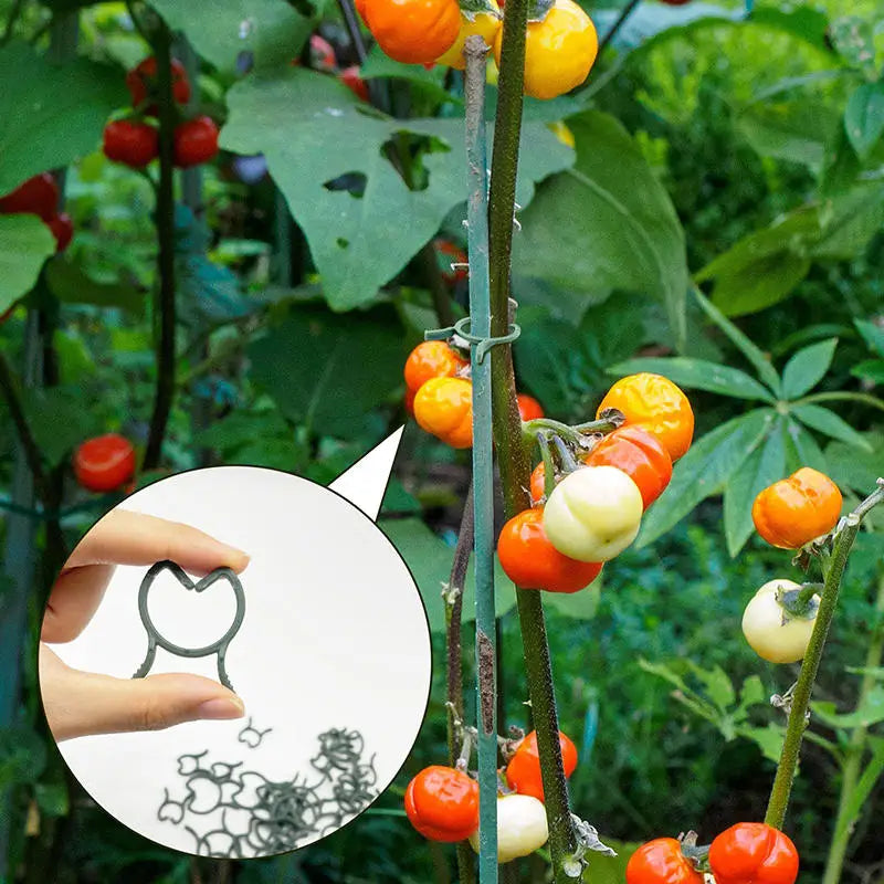 Clipes de suporte para plantas, 100 ou 200 unidades, em três tamanhos