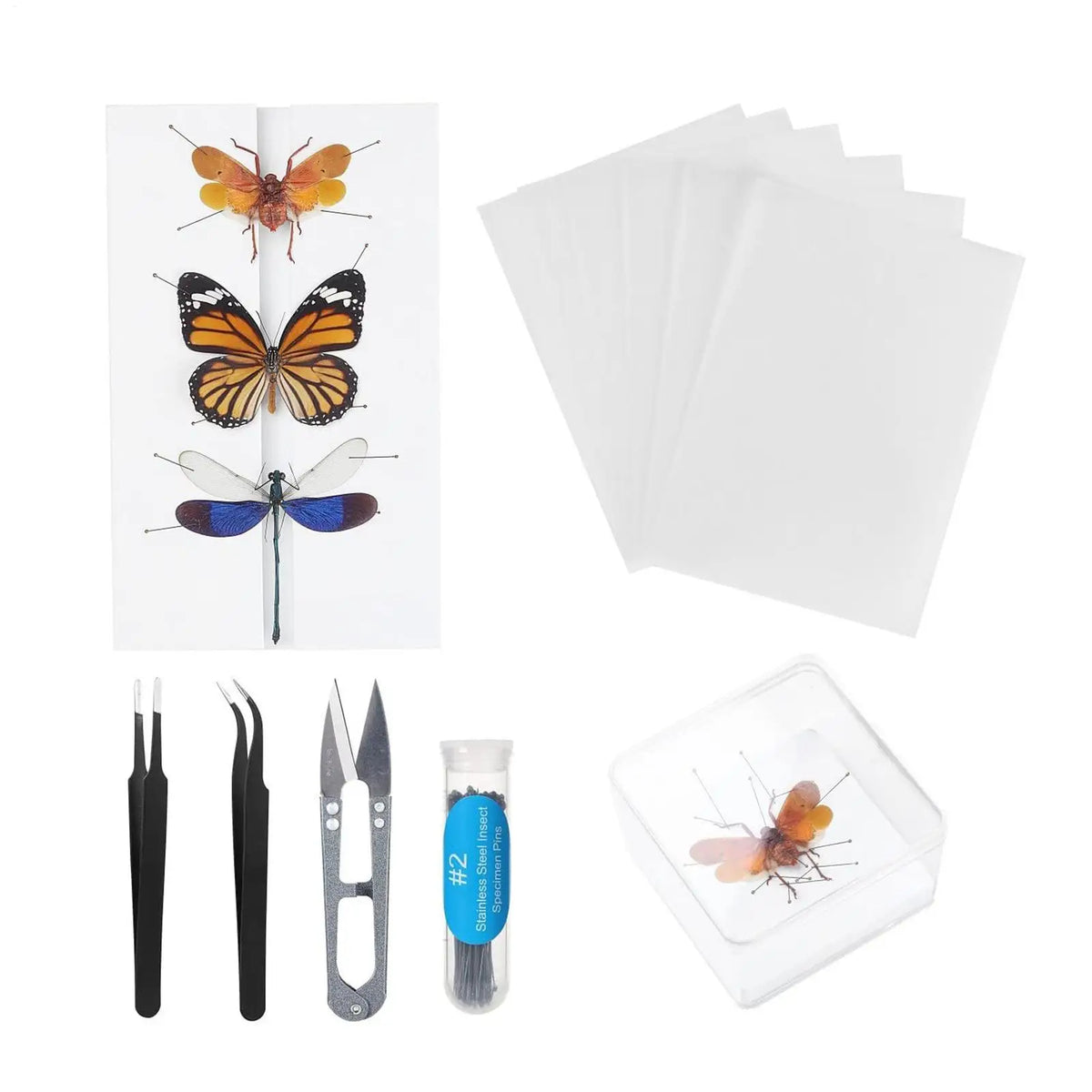 Butterfly Specimen Preparation Tool Kit