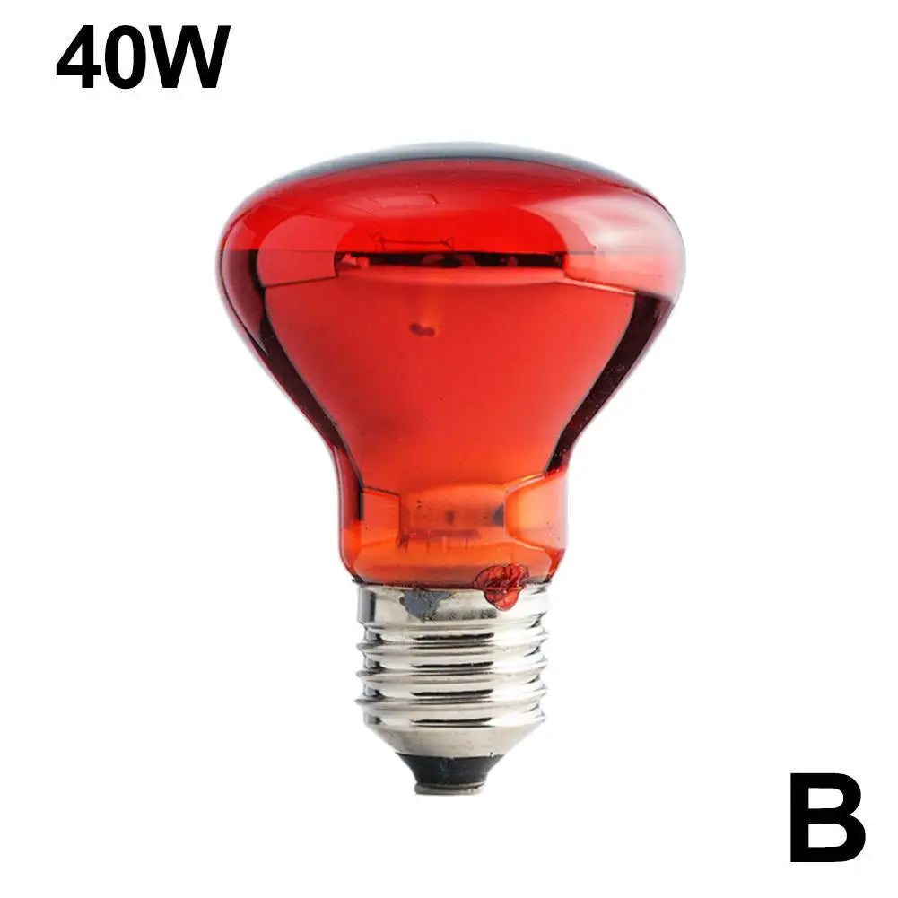 E27 Reptile Heat Bulb, 25–100W Options
