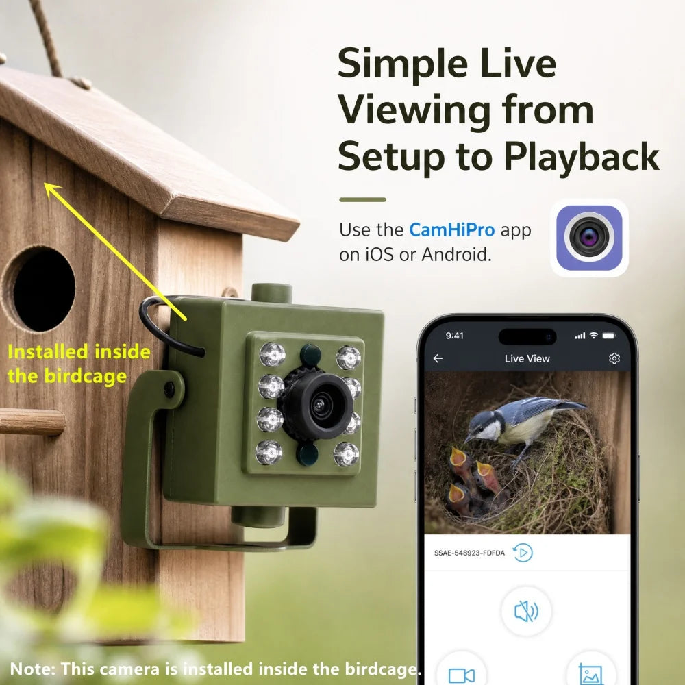 WiFi Bird Box HD Camera Starter Pack 2MP 5MP for Wildlife