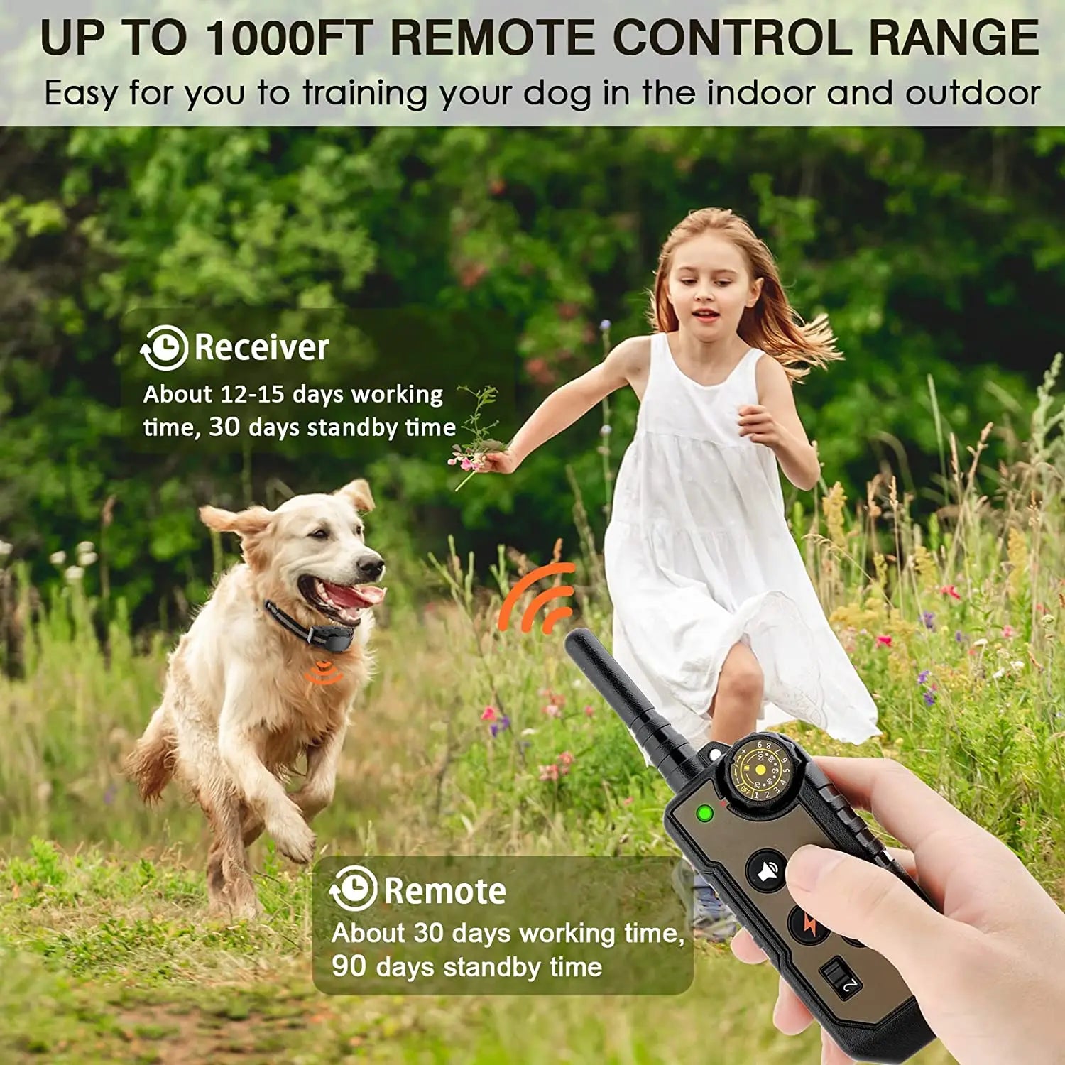 Remote Control Dog Training Collar with Waterproof Receiver