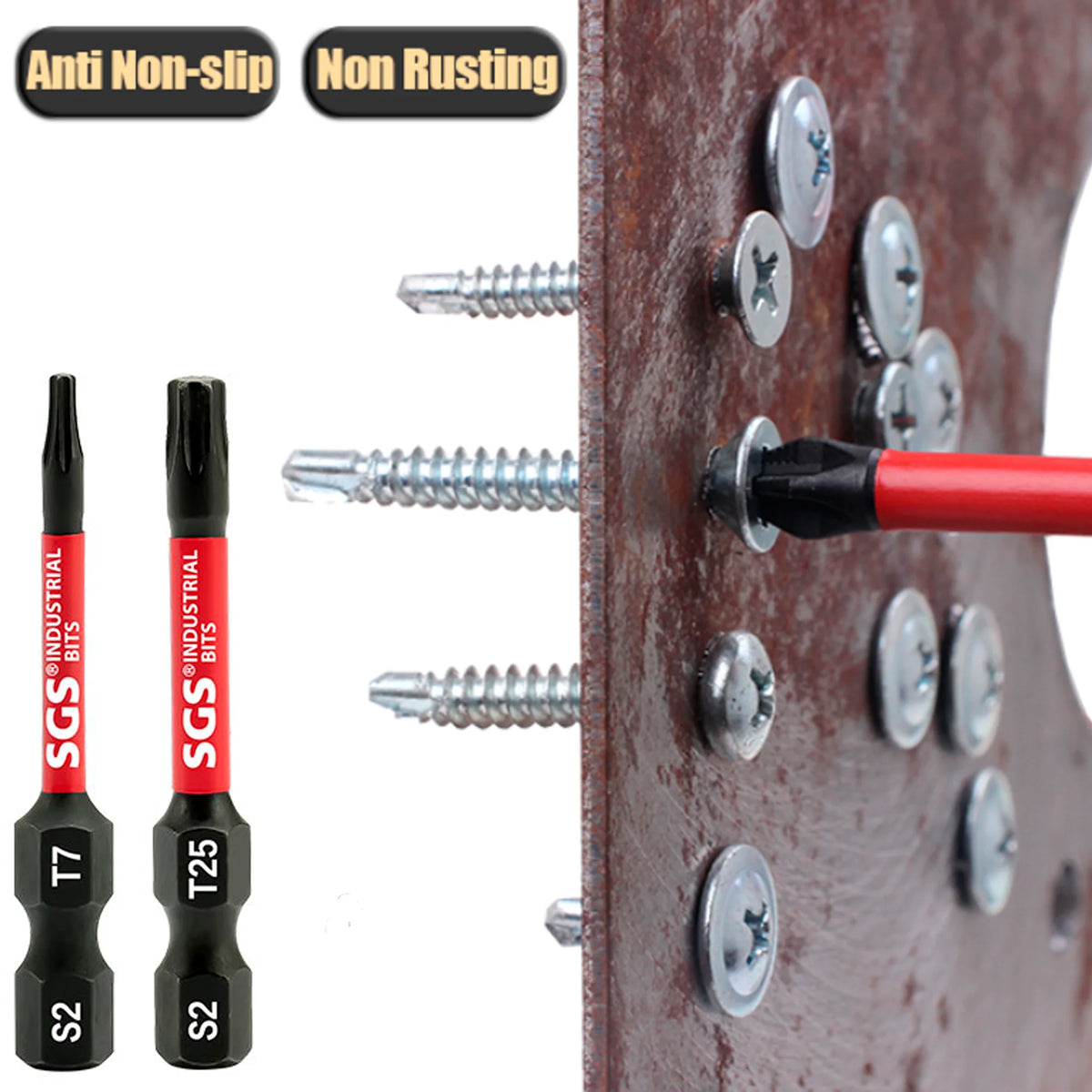 50 mm Magnetic Torx Bit Set - 10 Pieces