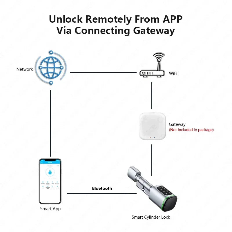 TTLock App Control Password RFID Card Euro Cylinder Door Lock Smart Lock Digital Keyless Replace Alexa (No Fingerprint)