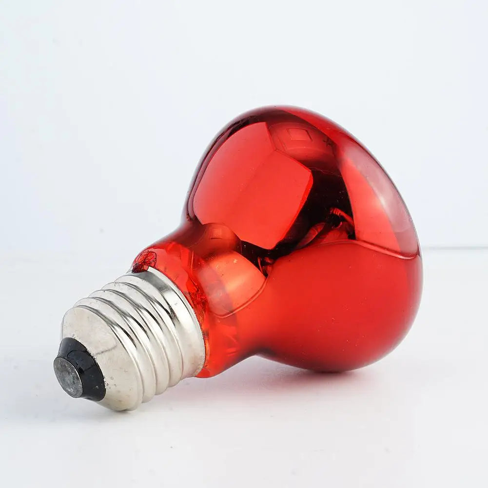 E27 Reptile Heat Bulb, 25–100W Options