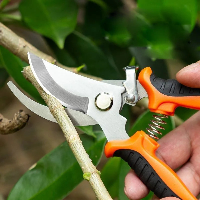 Bypass Garden Shears with Locking Handles