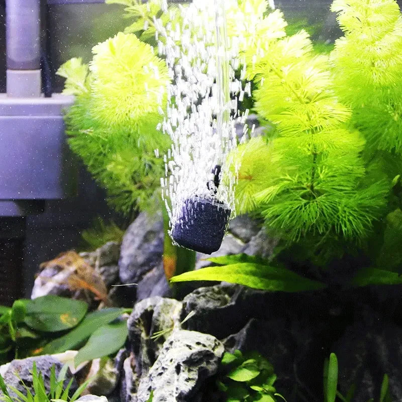 Akvarium luftpumpe rør og luftsten sæt