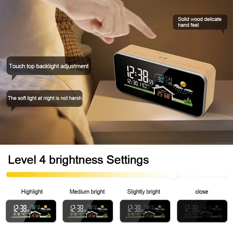 Digital Weather Station and Alarm Clock - Options