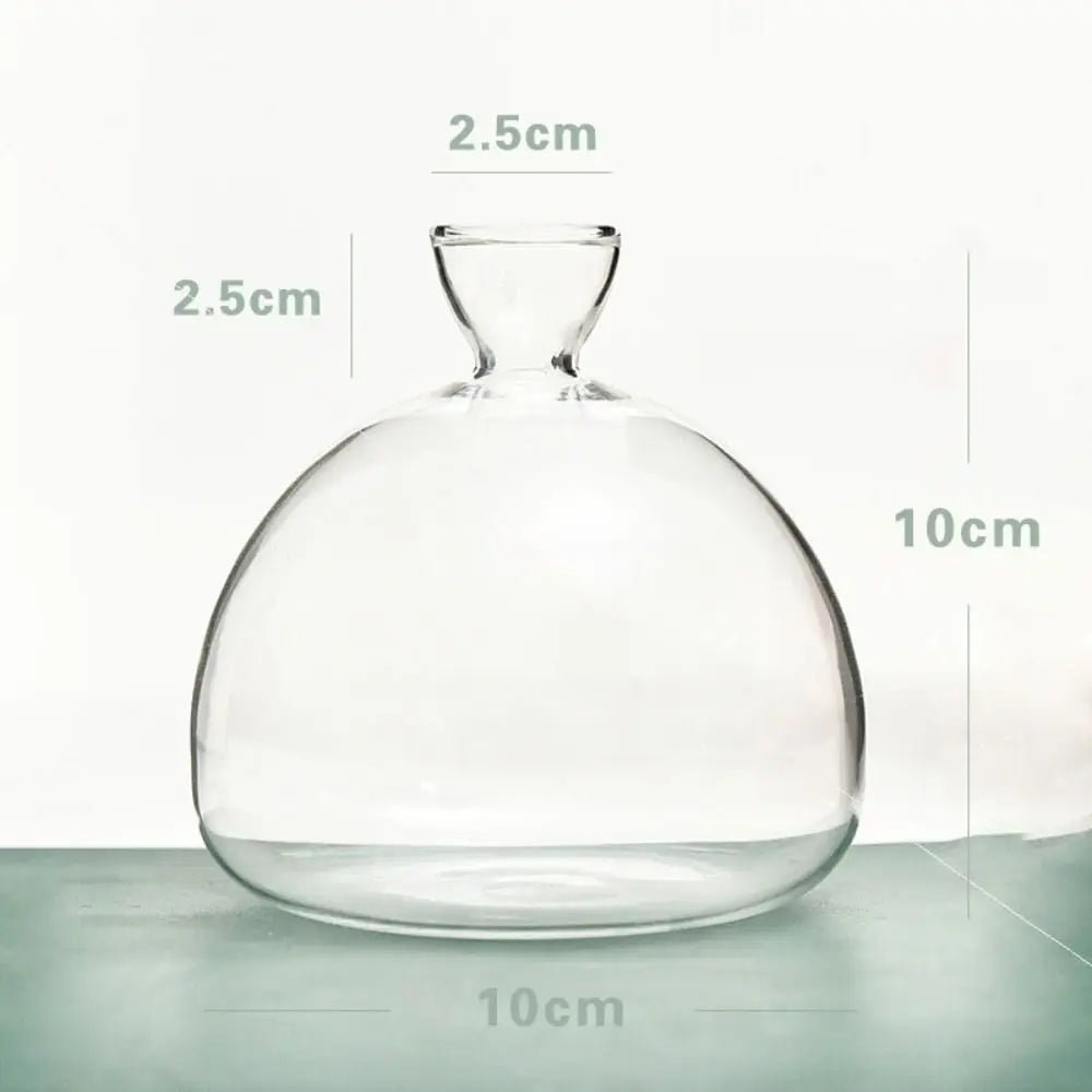 Glass Avocado-Seed Starter Vase, Shape Options