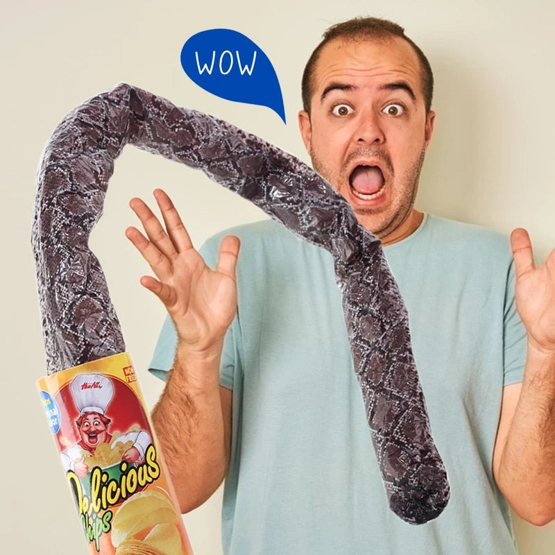 Prank Snake Toy in Potato Chip Can 🐍 