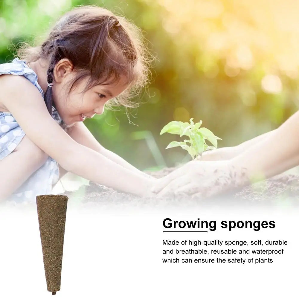 Seed Grow spongi, nadomestne koreninske spongije, rastni sponji za sadike, vtiči za kalitev semena, začetni sponji za semena, hidroponsko vrtnarjenje