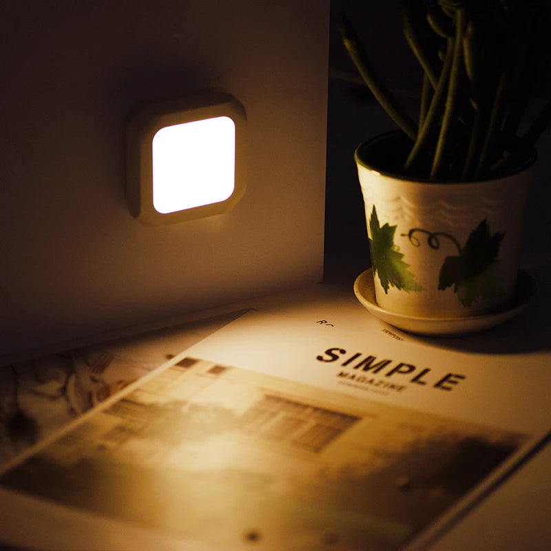 Plug-In White LED Night Light, EU/US Options