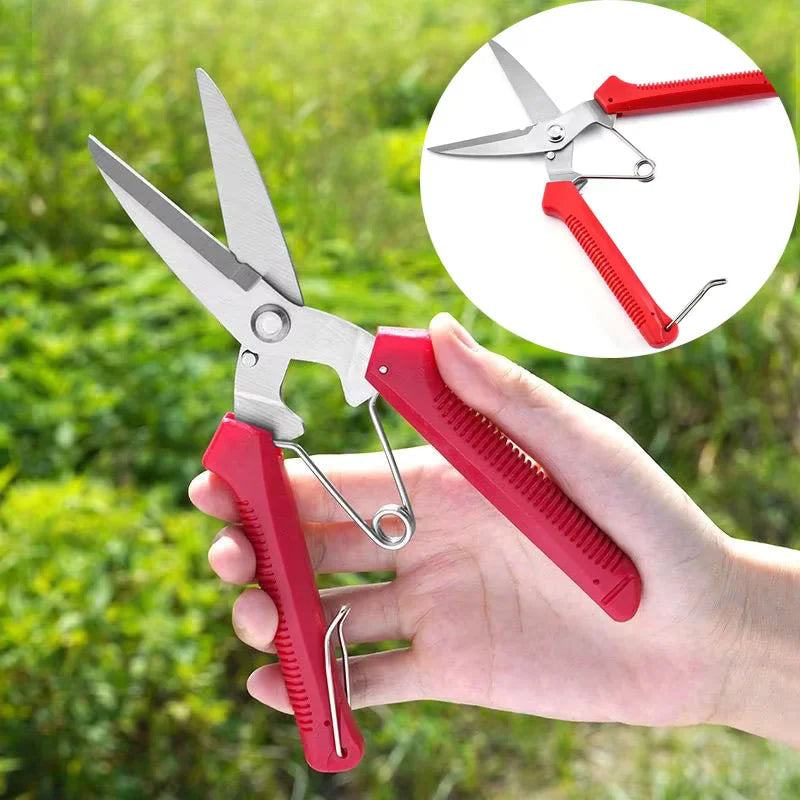 Straight-Blade Garden Scissors, Red or Green, 1–10 Pairs