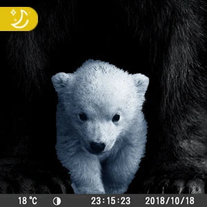 36MP 2K Trail Camera with 120° Detection and No Glow Night Vision