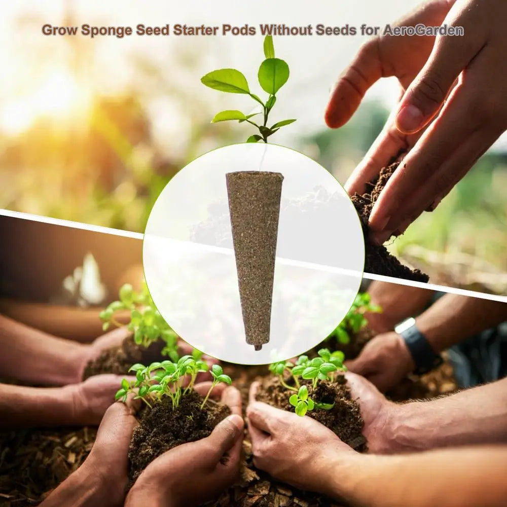 Seed Grow spongi, nadomestne koreninske spongije, rastni sponji za sadike, vtiči za kalitev semena, začetni sponji za semena, hidroponsko vrtnarjenje
