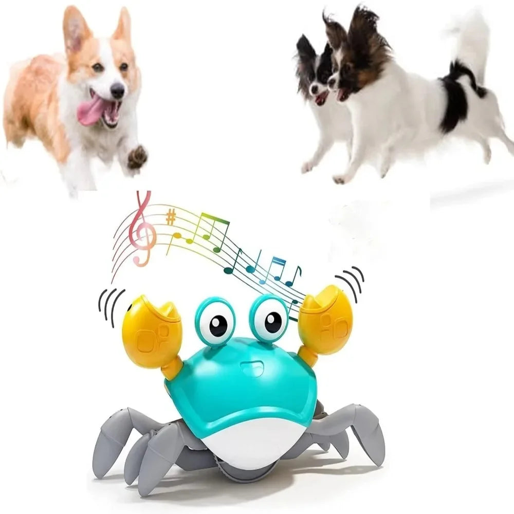 Dancing Crab Pet Toy with Music & Auto-Dancing, Interactive Fun for Cats Dogs - Indoor Pet Entertainment 