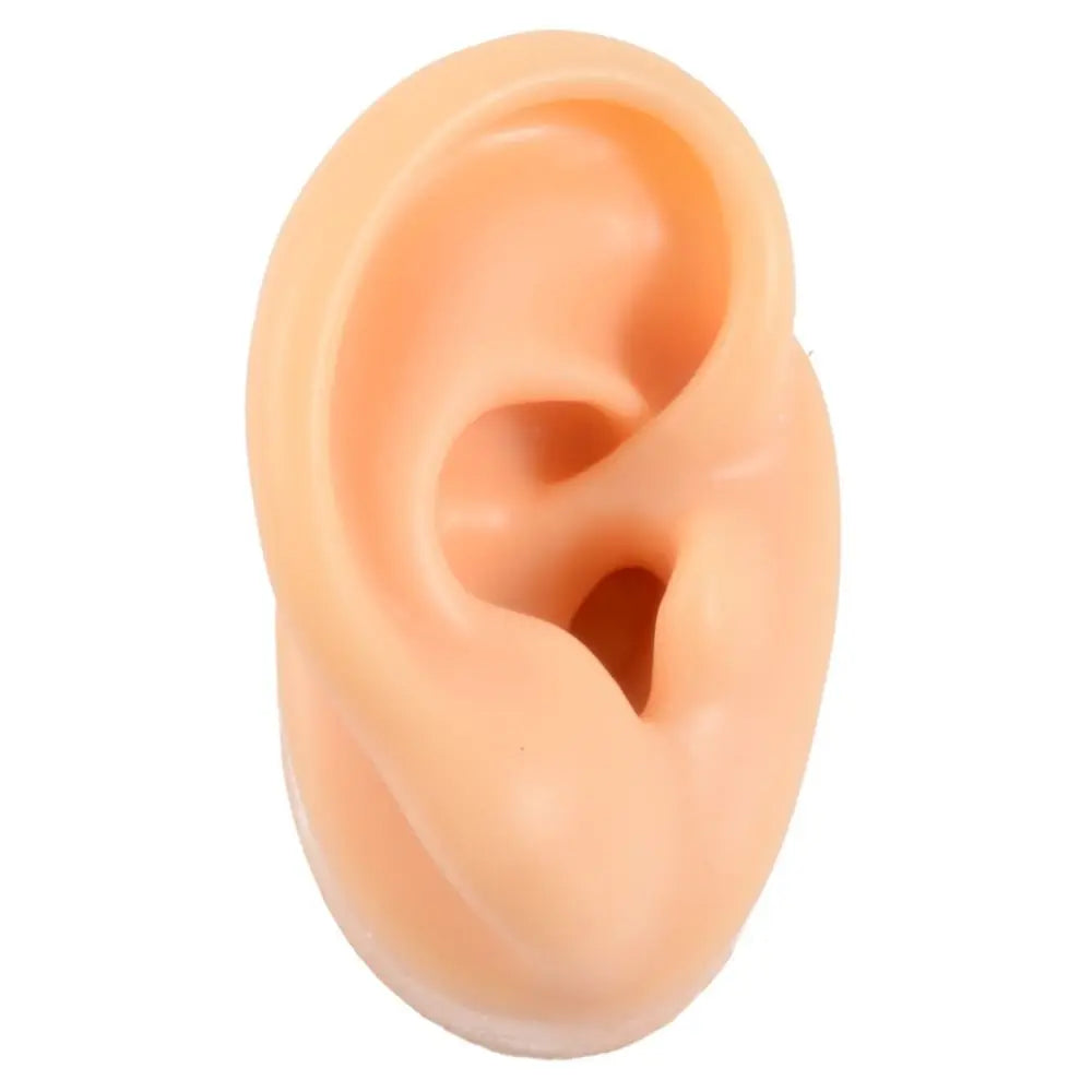 Silicone Ear Model for Teaching and Earring Display