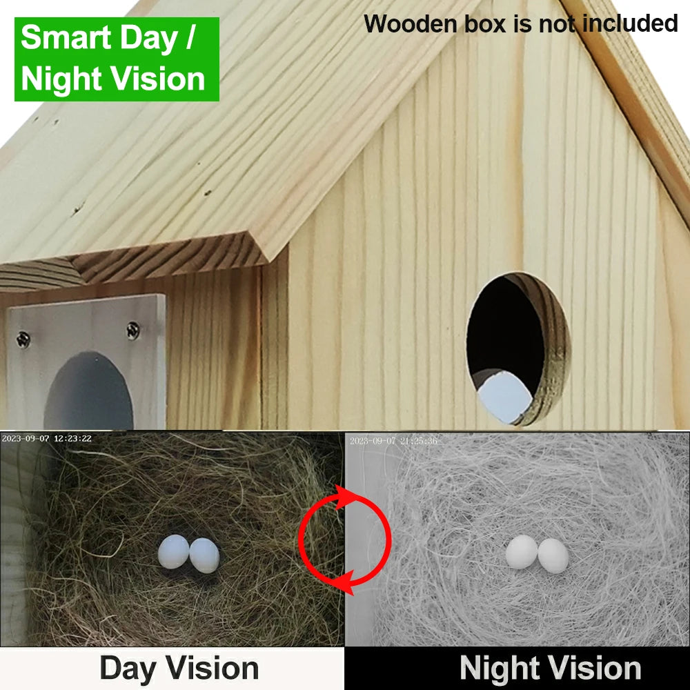 Wi-Fi Birdhouse Camera - Card Options