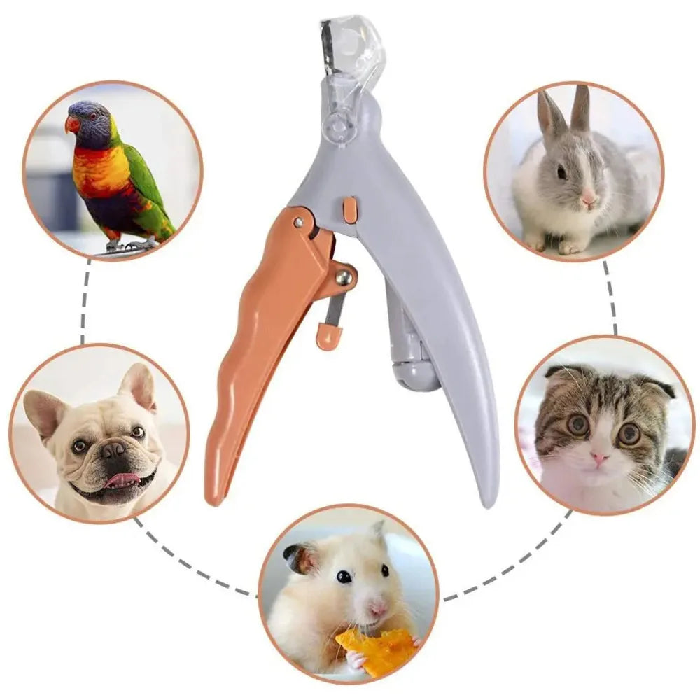 Coupe-ongles pour animaux avec lumière LED pour une toilette sécurisée des chats et des chiens
